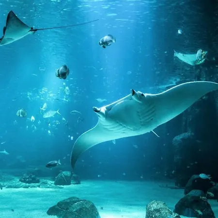 Cocon Lumineux Proche De La Fortifiee Et De Nausicaa Апартаменты *