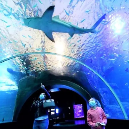 Cocon Lumineux Proche De La Fortifiee Et De Nausicaa *