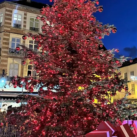 Cocon Lumineux Proche De La Fortifiee Et De Nausicaa Apartamento